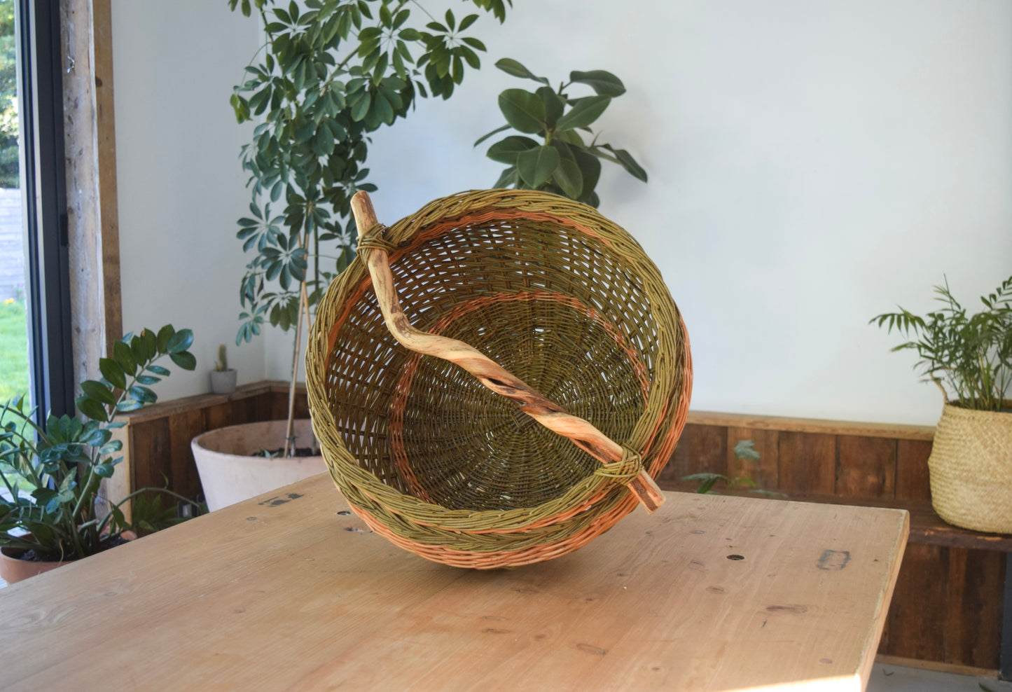 Harvest basket