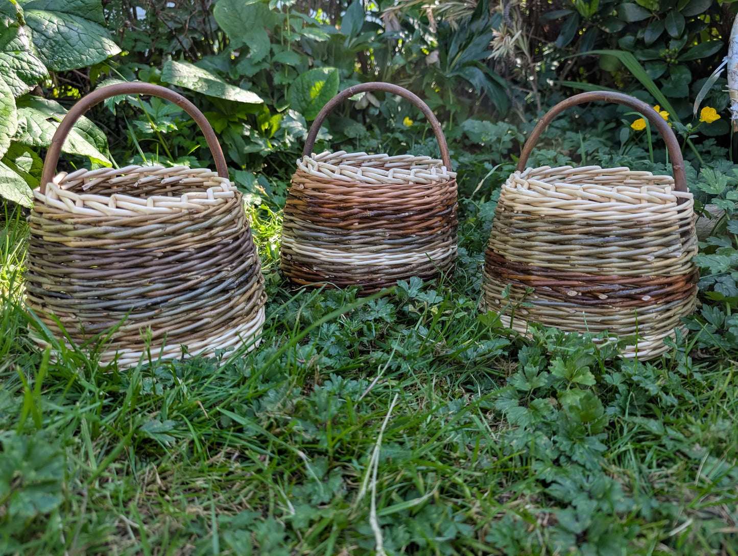 Berry Basketry workshop - July 11th 2026