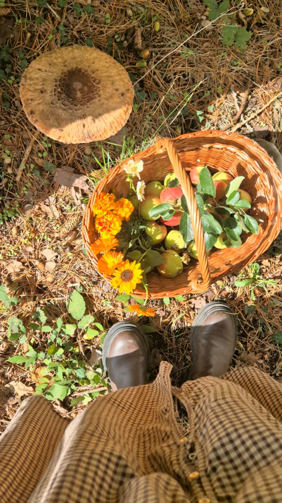 Oval basket - 28th June