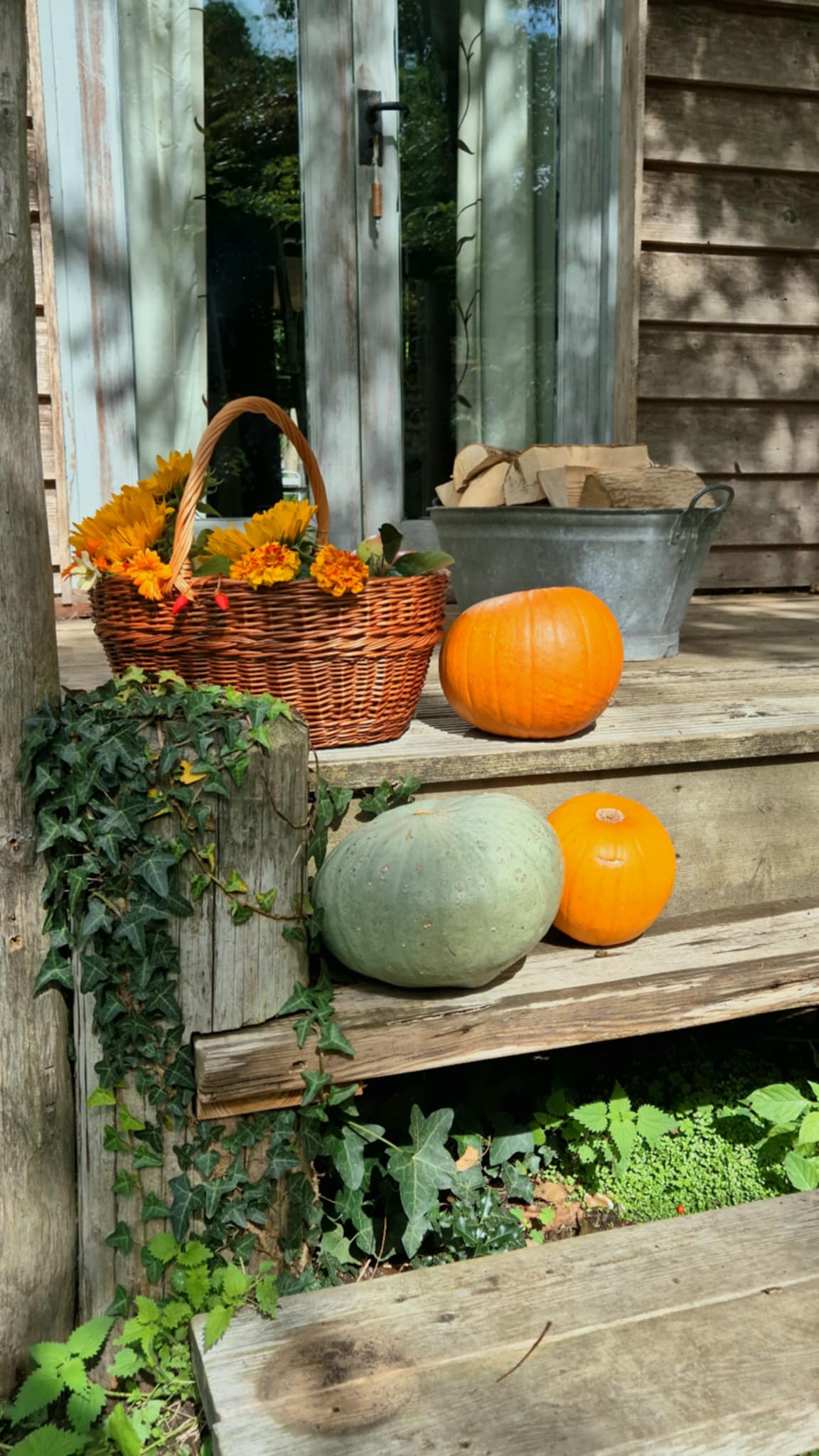 Oval basket - 28th June