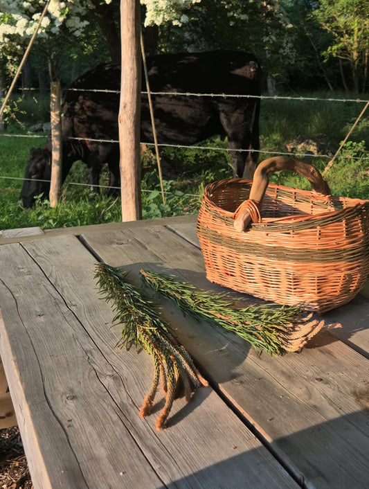 Beginners Basketry - September 26th